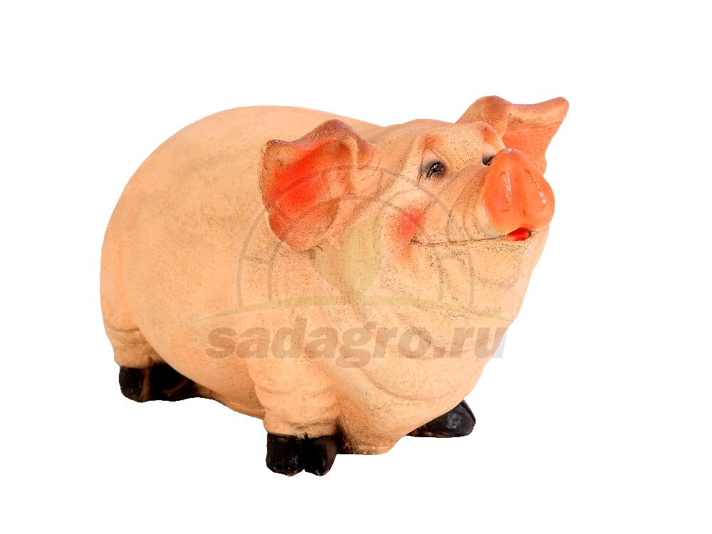 Свинка толстушка 30х51