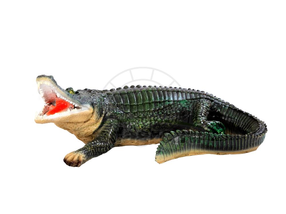 Крокодил большой