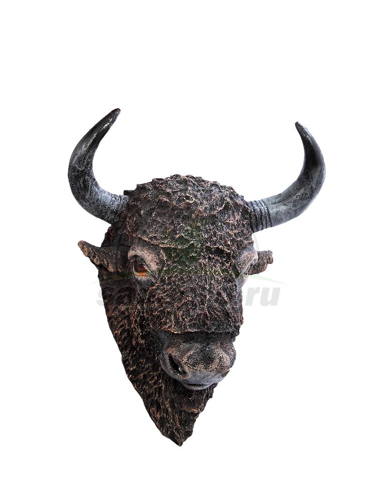 Голова буйвола