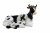 DPP_720 DPP_720