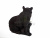 DPP_499 DPP_499