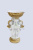 DPP_548 DPP_548