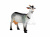 DPP_59 DPP_59