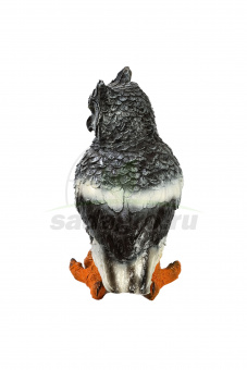 255
