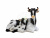 DPP_722 DPP_722