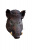 DPP_854 DPP_854