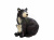 DPP_496 DPP_496