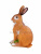 DPP_589 DPP_589