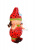 DPP_446 DPP_446
