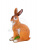 DPP_587 DPP_587