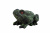 DPP_248 DPP_248