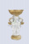 DPP_545 DPP_545
